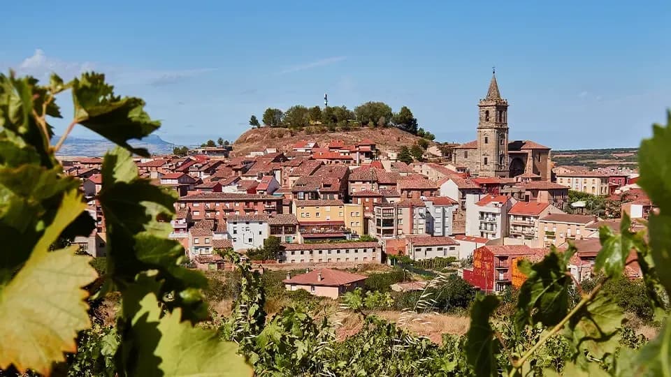 Tour exclusivo a La Rioja: bodegas, historia y encanto español