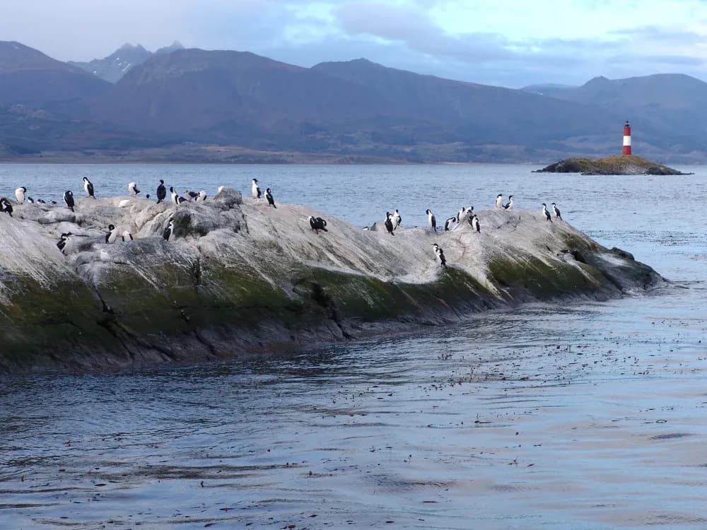 Patagonia from the End of the World to the Glaciers